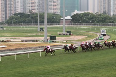 11 Temmuz 2011 Sha Tin Racecourse, Sha Tin, Yeni Bölgeler.