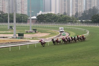 11 Temmuz 2011 Sha Tin Racecourse, Sha Tin, Yeni Bölgeler.