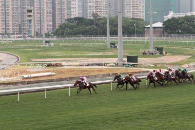 11 Temmuz 2011 Sha Tin Racecourse, Sha Tin, Yeni Bölgeler.
