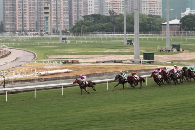 11 Temmuz 2011 Sha Tin Racecourse, Sha Tin, Yeni Bölgeler.