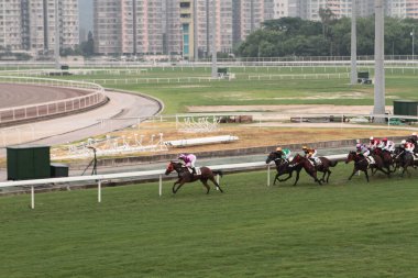 11 Temmuz 2011 Sha Tin Racecourse, Sha Tin, Yeni Bölgeler.