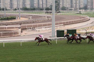11 Temmuz 2011 Sha Tin Racecourse, Sha Tin, Yeni Bölgeler.