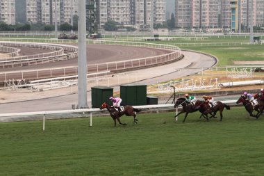 11 Temmuz 2011 Sha Tin Racecourse, Sha Tin, Yeni Bölgeler.