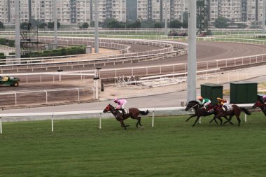 11 Temmuz 2011 Sha Tin Racecourse, Sha Tin, Yeni Bölgeler.