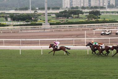 11 Temmuz 2011 Sha Tin Racecourse, Sha Tin, Yeni Bölgeler.