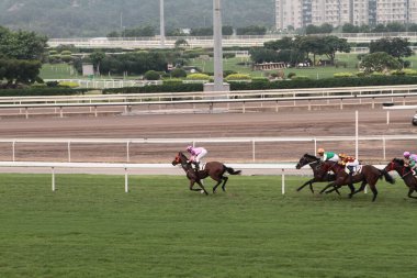 11 Temmuz 2011 Sha Tin Racecourse, Sha Tin, Yeni Bölgeler.