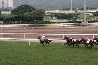 11 Temmuz 2011 Sha Tin Racecourse, Sha Tin, Yeni Bölgeler.