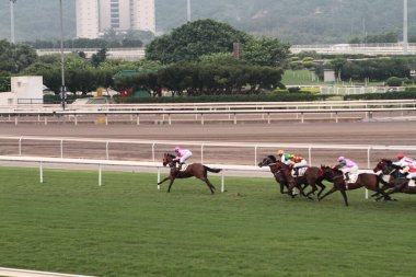 11 Temmuz 2011 Sha Tin Racecourse, Sha Tin, Yeni Bölgeler.