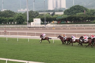 11 Temmuz 2011 Sha Tin Racecourse, Sha Tin, Yeni Bölgeler.
