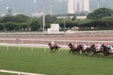 11 Temmuz 2011 Sha Tin Racecourse, Sha Tin, Yeni Bölgeler.