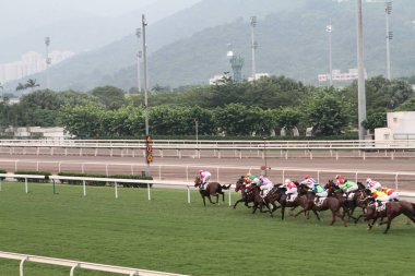 11 Temmuz 2011 Sha Tin Racecourse, Sha Tin, Yeni Bölgeler.