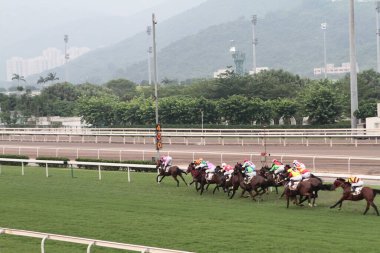 11 Temmuz 2011 Sha Tin Racecourse, Sha Tin, Yeni Bölgeler.