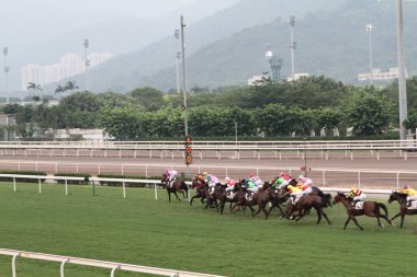 11 Temmuz 2011 Sha Tin Racecourse, Sha Tin, Yeni Bölgeler.