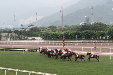 11 Temmuz 2011 Sha Tin Racecourse, Sha Tin, Yeni Bölgeler.
