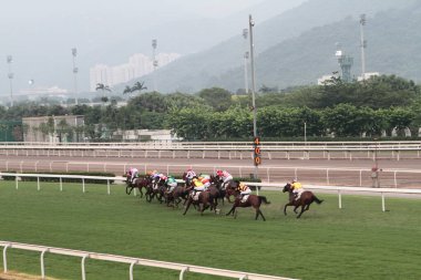 11 Temmuz 2011 Sha Tin Racecourse, Sha Tin, Yeni Bölgeler.