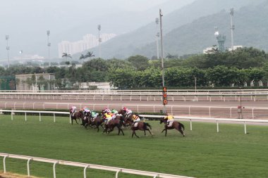 11 Temmuz 2011 Sha Tin Racecourse, Sha Tin, Yeni Bölgeler.