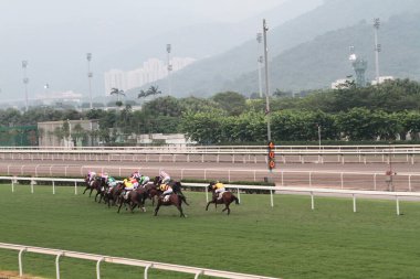 11 Temmuz 2011 Sha Tin Racecourse, Sha Tin, Yeni Bölgeler.