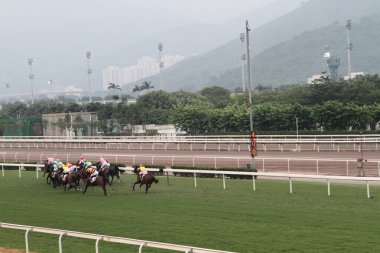 11 Temmuz 2011 Sha Tin Racecourse, Sha Tin, Yeni Bölgeler.