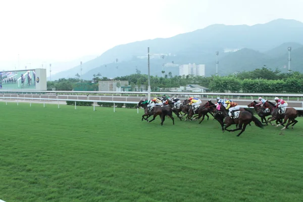 Temmuz 2011 Sha Tin Racecourse Sha Tin Yeni Bölgeler — Stok fotoğraf