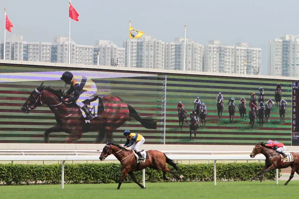 Июля 2011 Sha Tin Racecourse Расположенный Sha Tin Новых Территориях — стоковое фото