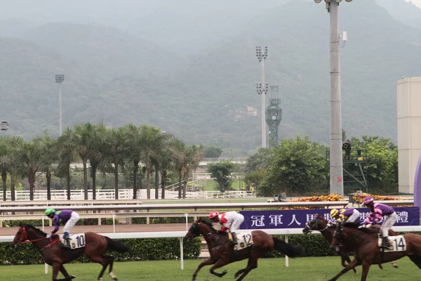 Ιουλίου 2011 Sha Tin Racecourse Που Βρίσκεται Στο Sha Tin — Φωτογραφία Αρχείου