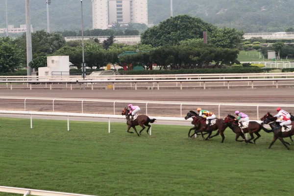 Temmuz 2011 Sha Tin Racecourse Sha Tin Yeni Bölgeler — Stok fotoğraf