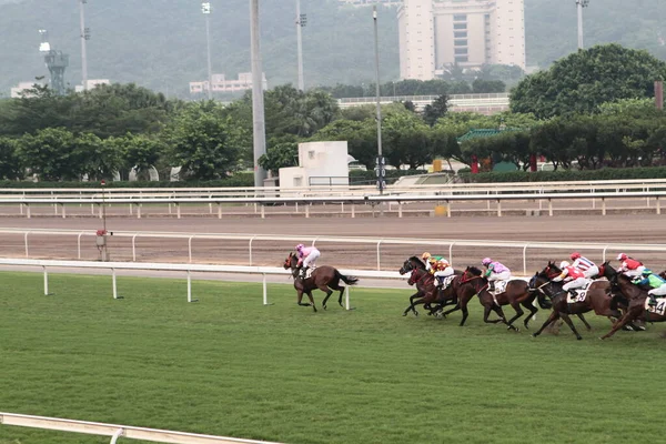 Lipca 2011 Tor Wyścigowy Sha Tin Położony Sha Tin Nowych — Zdjęcie stockowe