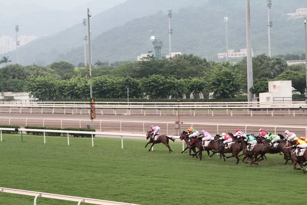 Julho 2011 Sha Tin Racecourse Localizado Sha Tin Nos Novos — Fotografia de Stock