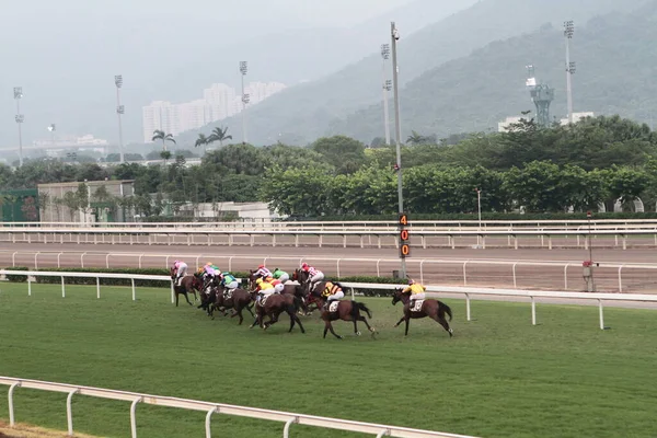 Temmuz 2011 Sha Tin Racecourse Sha Tin Yeni Bölgeler — Stok fotoğraf