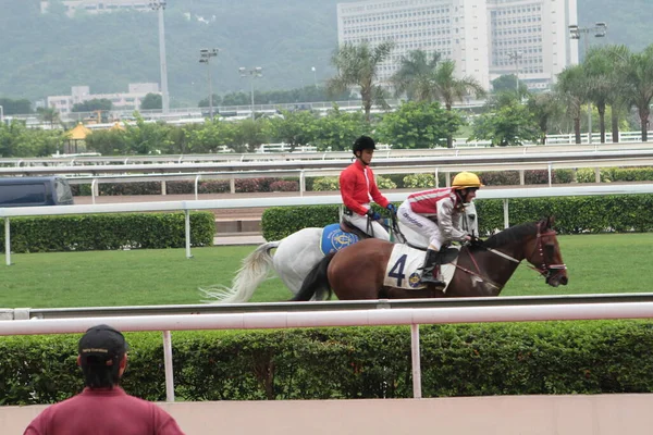 July 2011 Many People Concentrated Horse Racing Gambling Hong Kong — Stock Photo, Image