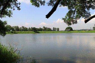 23 Temmuz 2011 Shan Pui Tsuen 'deki balık havuzu, hk