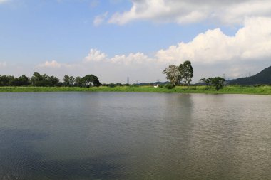 23 Temmuz 2011 Shan Pui Tsuen 'deki balık havuzu, hk