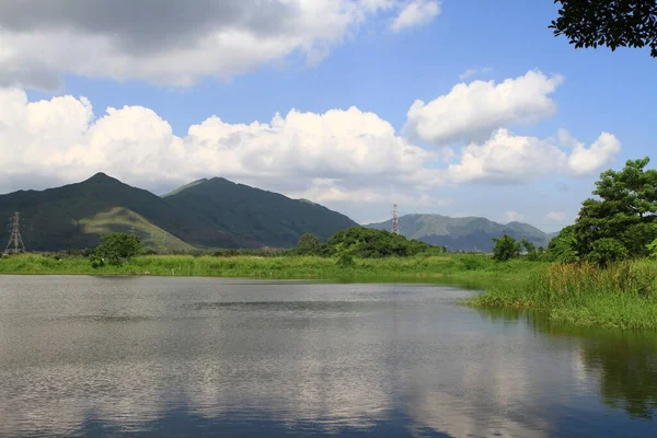Juli 2011 Der Fischteich Bei Shan Pui Tsuen — Stockfoto