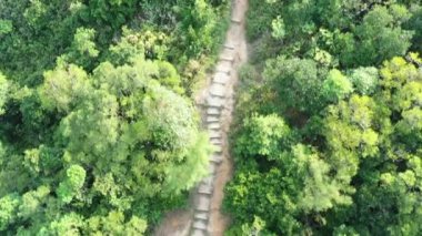 7 Mayıs 2022 Kara Tepe 'deki yeşil ormanın manzarası