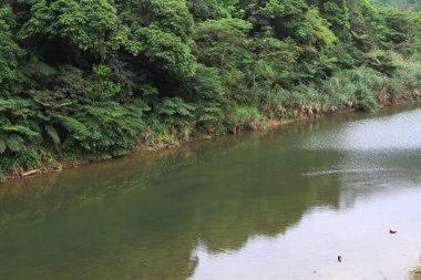 18 Nisan 2011 Shihfen, Pingxi Bölgesi, Tayvan. 