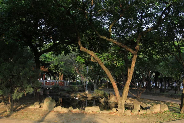 April 2011 Het Zonlicht Van Jieshou Park Park Taipei City — Stockfoto