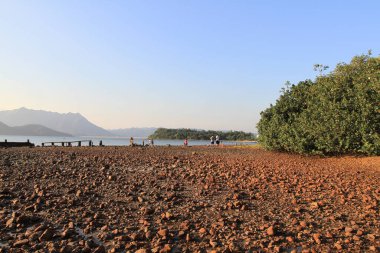 Hong Kong 'da kayalık bir sahilde gün batımı..