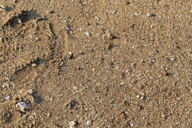 Sahilin kumlu arka planı, doğa kavramı.