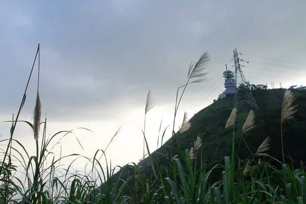 2022年5月8日九龍ピーク 香港の風景2 7月2011 — ストック写真