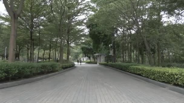 Park Grüner Stadtpark Hong Kong — Stockvideo