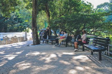 Hong Kong parkının manzarası 14 Ekim 2022