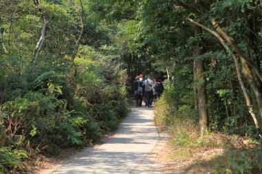 1 Ocak 2012 Yolun her iki tarafında birkaç köknar ağacı