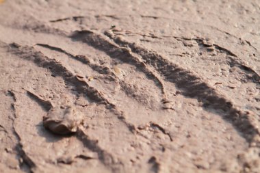 1 Ocak 2012 Tai O 'da güneşin altında ev yapımı karides ezmesi kurutuyorum.,