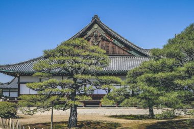 Kyoto, Japonya 'daki Nijo Kalesindeki Ninomaru Sarayı 8 Nisan 2012
