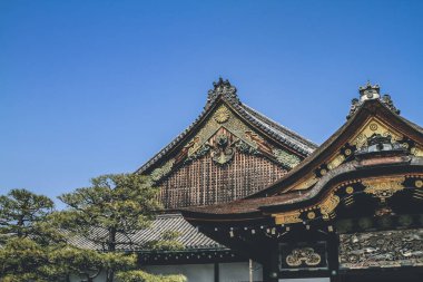 Kyoto, Japonya 'daki Nijo Kalesindeki Ninomaru Sarayı 8 Nisan 2012