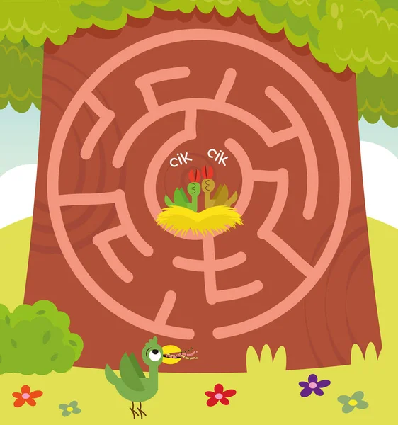 Kuş temalı çocuklar için Maze yapboz sayfası