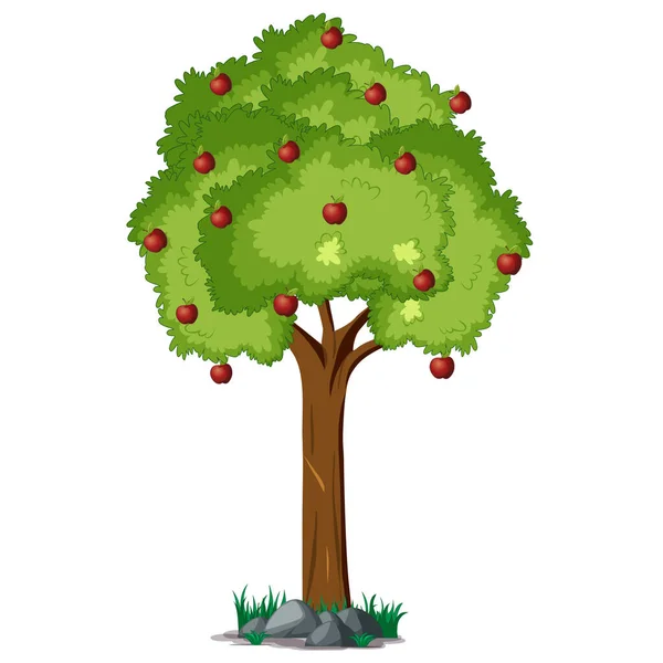 Beyaz arkaplanda kırmızı elma ağacı.