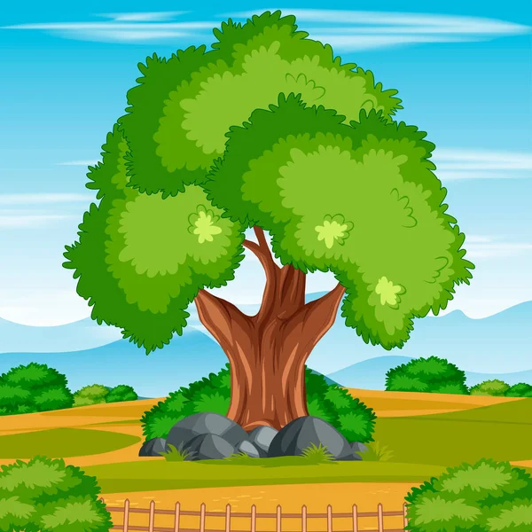 Scene of a Tree in the Natural Park