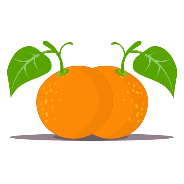 Beyaz arkaplanda turuncu meyve çizimi