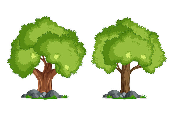 Set of trees on white background.